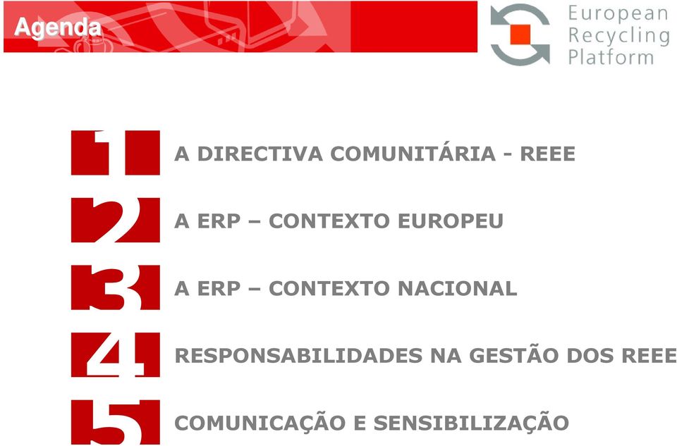 REEE ERP CONTEXTO EUROPEU ERP CONTEXTO