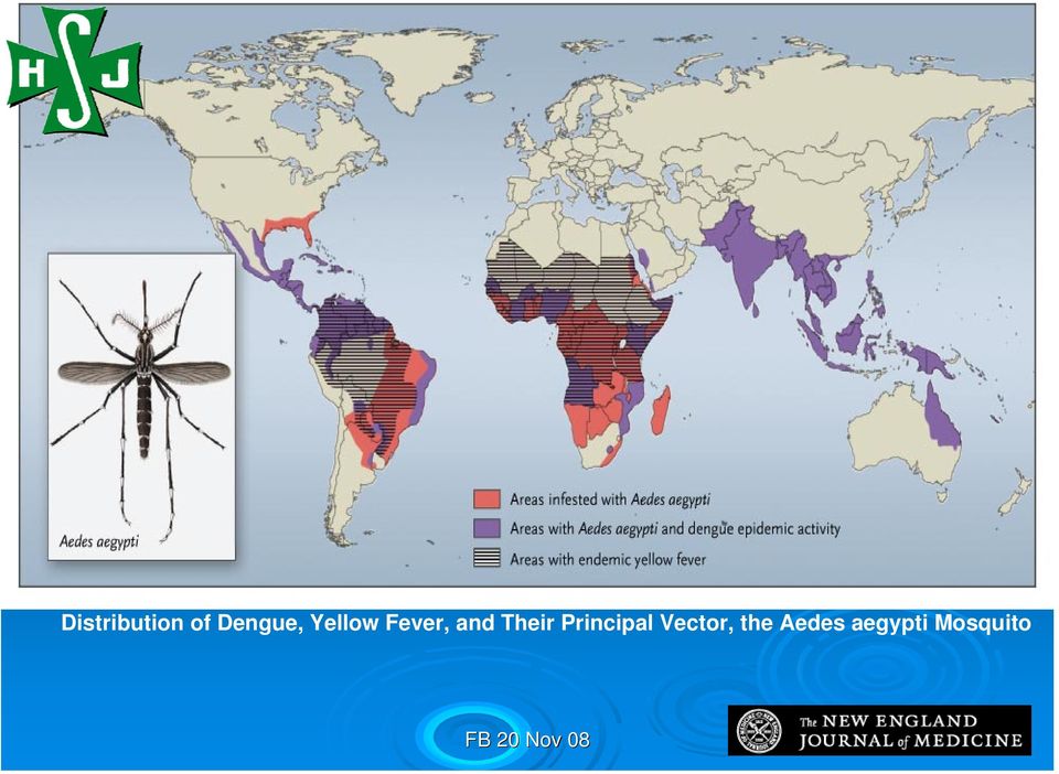 Distribution of Dengue, Yellow Fever,