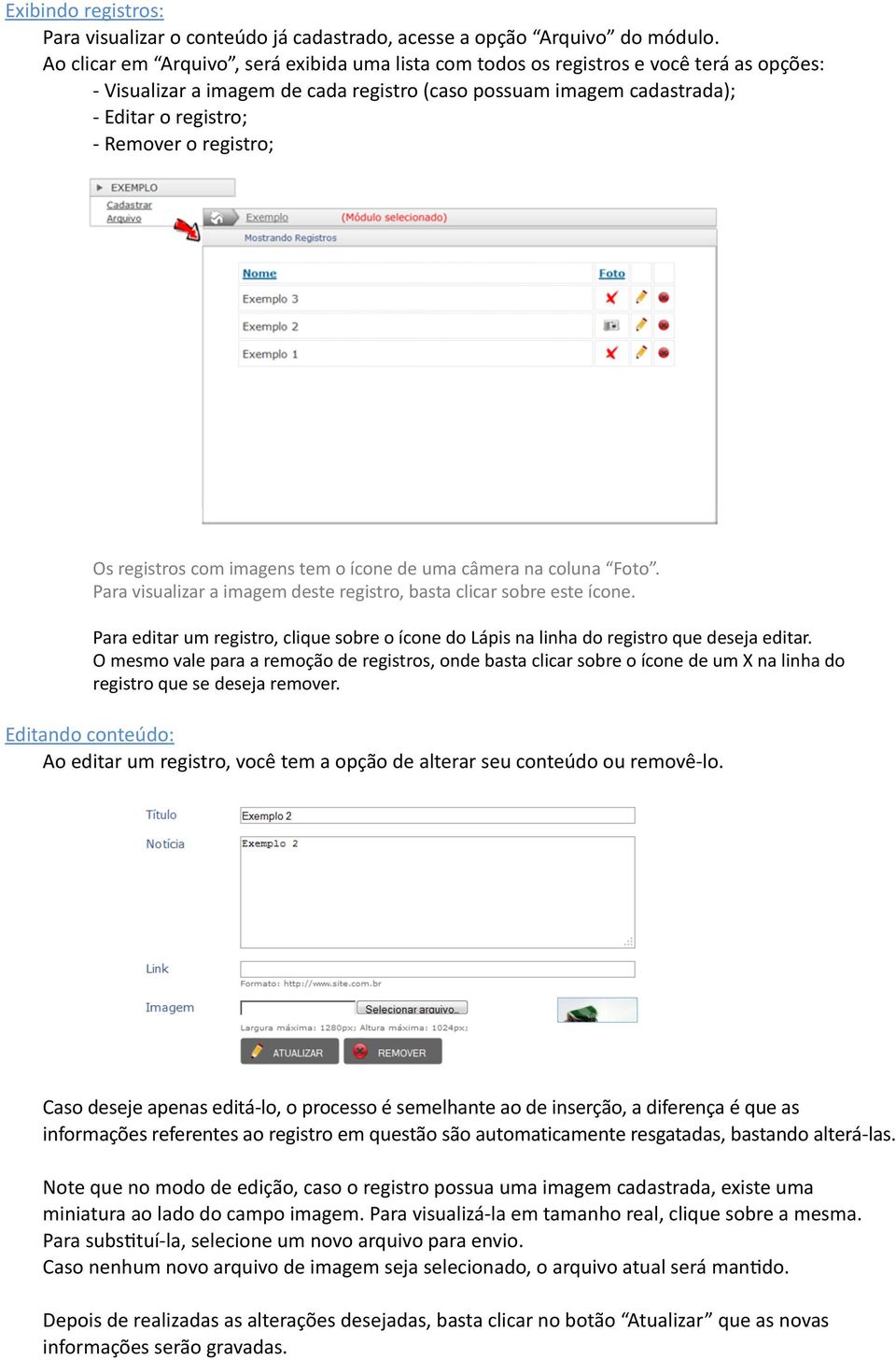 registro; Os registros com imagens tem o ícone de uma câmera na coluna Foto. Para visualizar a imagem deste registro, basta clicar sobre este ícone.