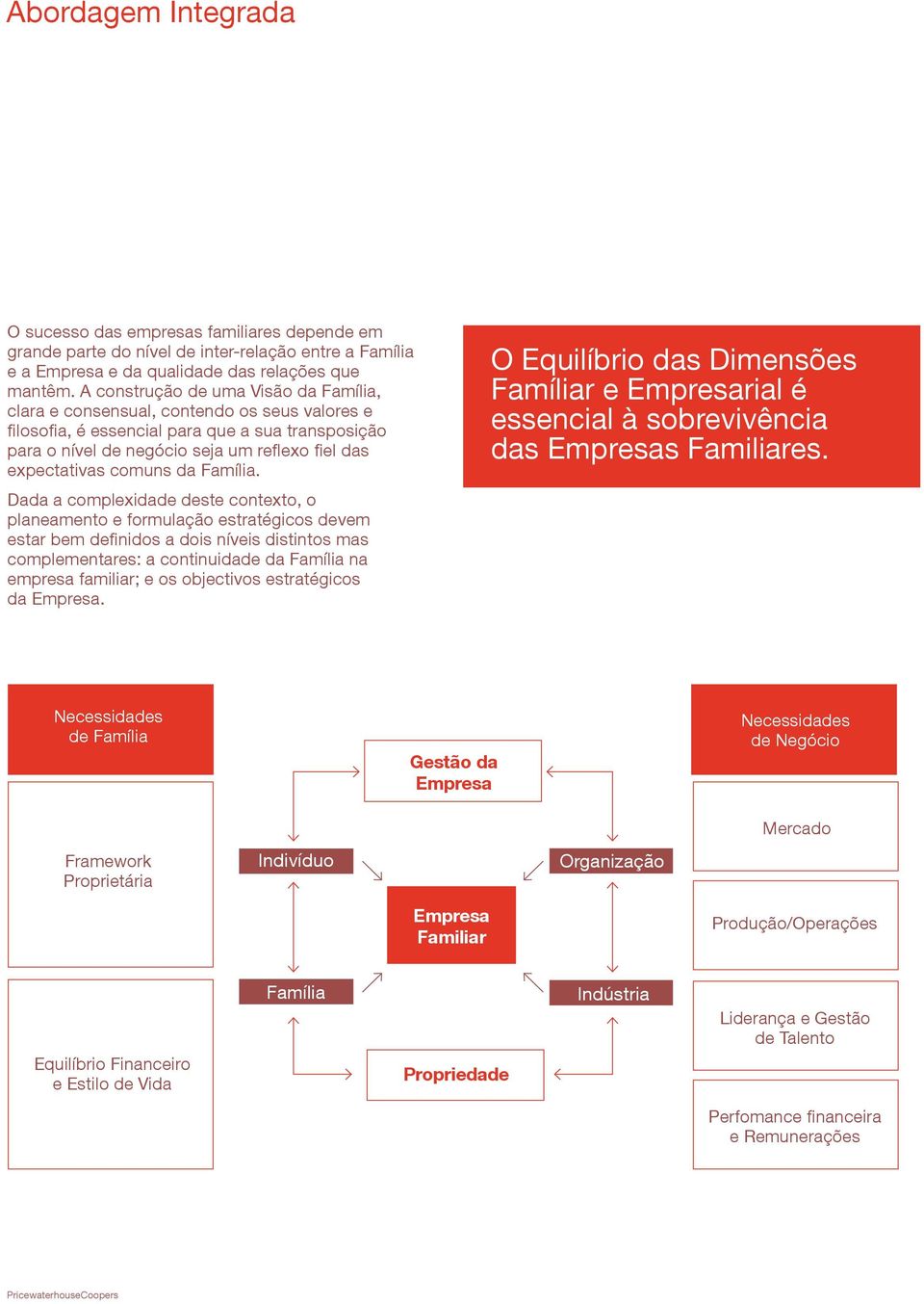 Dada a complexidade deste contexto, o planeamento e formulação estratégicos devem estar bem definidos a dois níveis distintos mas complementares: a continuidade na empresa familiar; e os objectivos