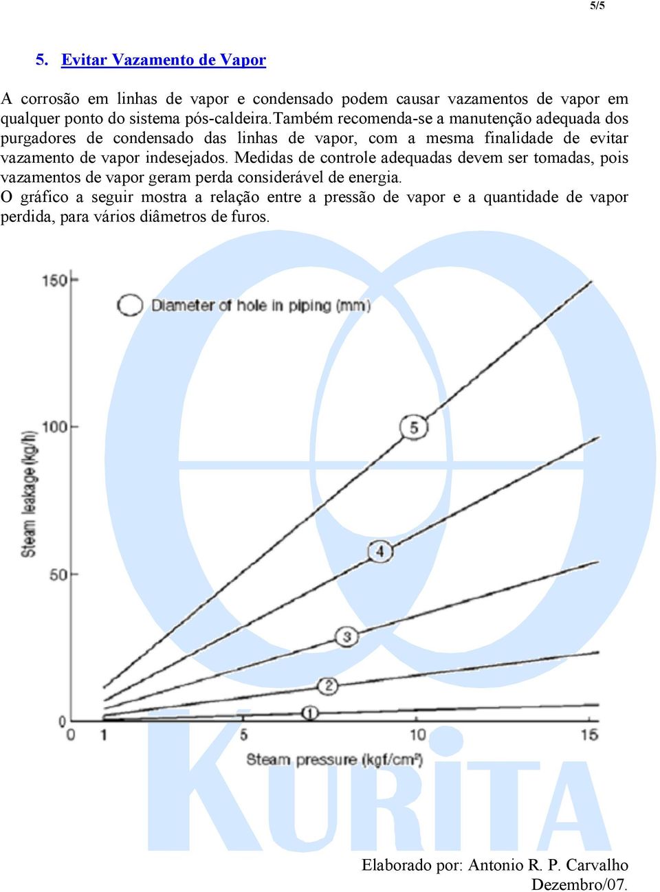 também recomenda-se a manutenção adequada dos purgadores de condensado das linhas de vapor, com a mesma finalidade de evitar vazamento de vapor