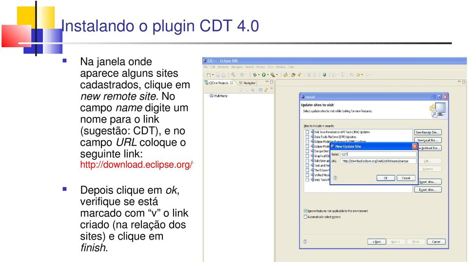 No campo name digite um nome para o link (sugestão: CDT), e no campo URL coloque o seguinte