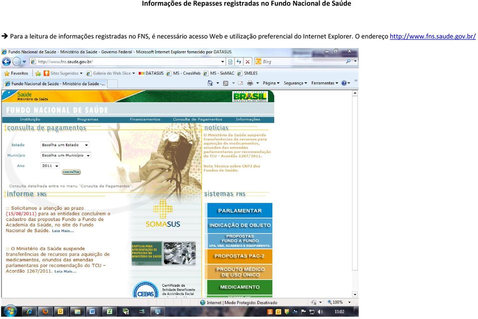 FNS, é necessário acesso Web e utilização preferencial