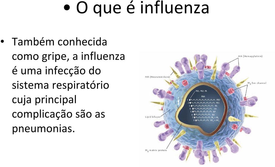 infecção do sistema respiratório