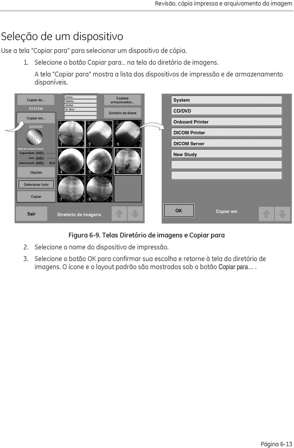 A tela Copiar para mostra a lista dos dispositivos de impressão e de armazenamento disponíveis. Figura 6-9.