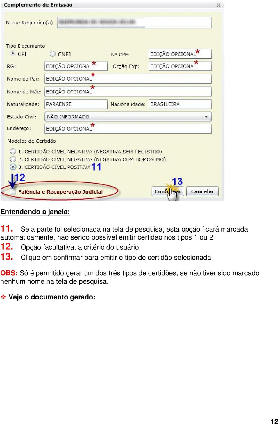 possível emitir certidão nos tipos 1 ou 2. 12. Opção facultativa, a critério do usuário 13.