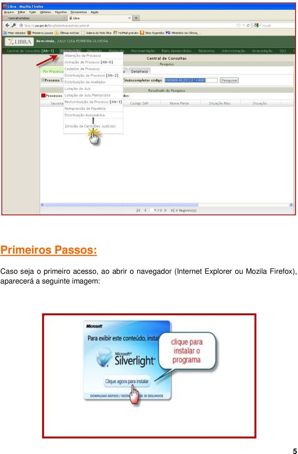 navegador (Internet Explorer ou