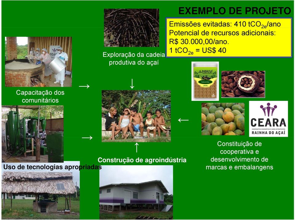 1 tco 2e = US$ 40 Capacitação dos comunitários Constituição de cooperativa e