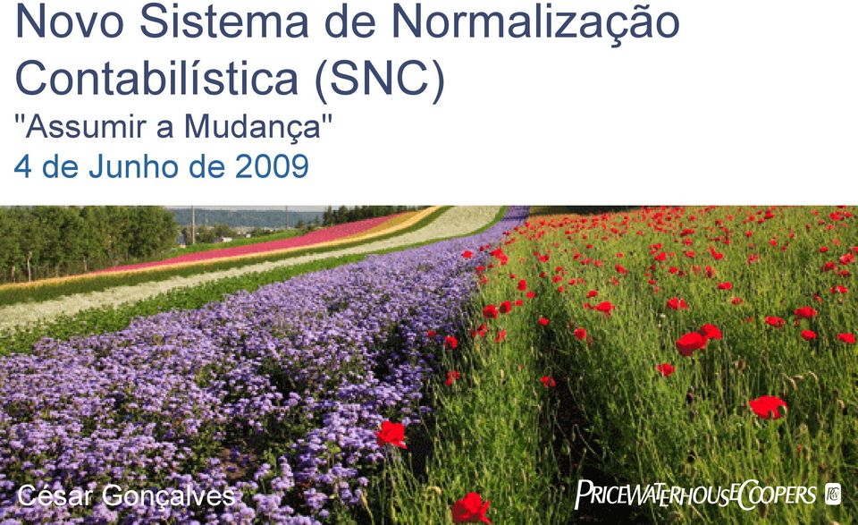 Contabilística (SNC)