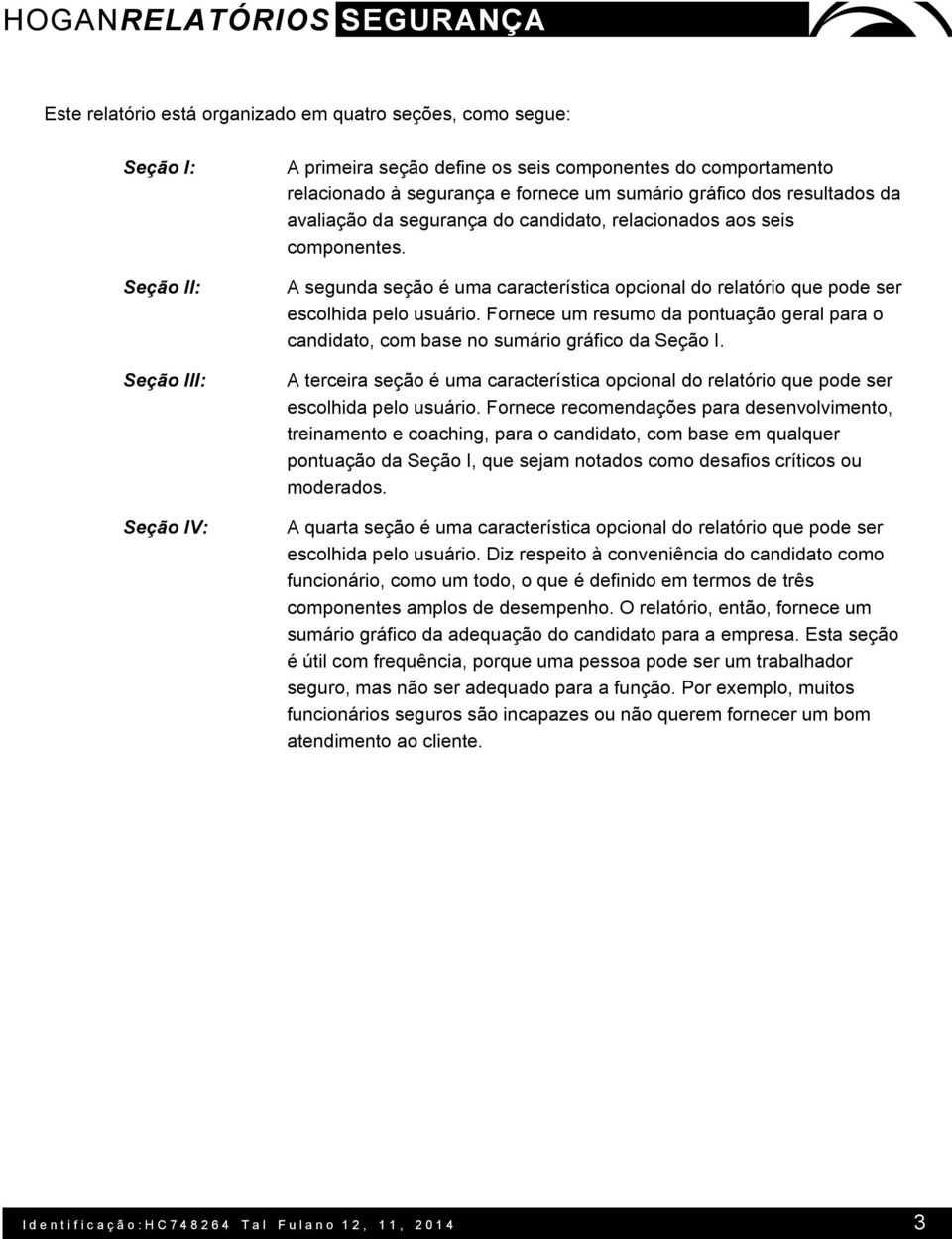 A segunda seção é uma característica opcional do relatório que pode ser escolhida pelo usuário. Fornece um resumo da pontuação geral para o candidato, com base no sumário gráfico da Seção I.