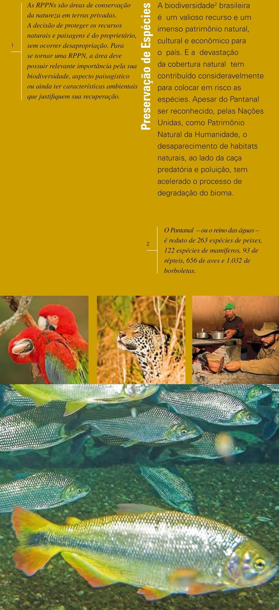 Preservação de Espécies A biodiversidade 2 brasileira é um valioso recurso e um imenso patrimônio natural, cultural e econômico para o país.