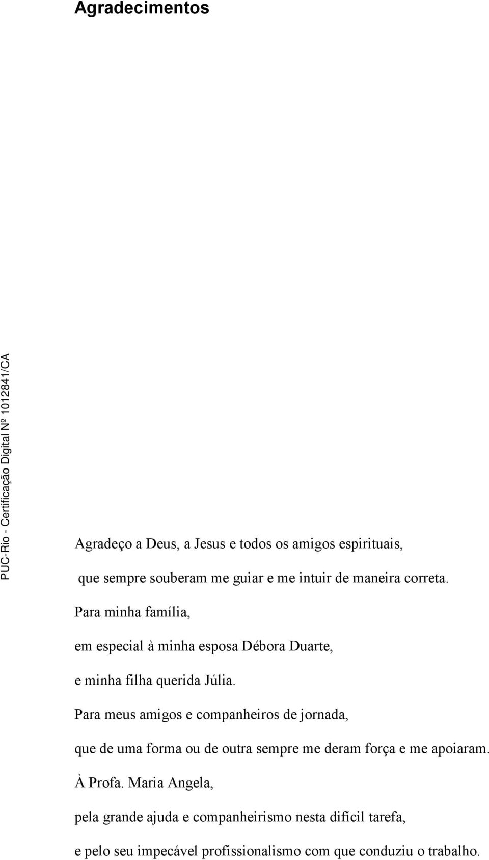 Para meus amigos e companheiros de jornada, que de uma forma ou de outra sempre me deram força e me apoiaram. À Profa.