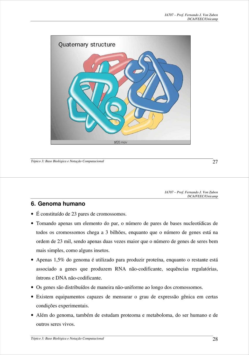 maior que o número de genes de seres bem mais simples, como alguns insetos.