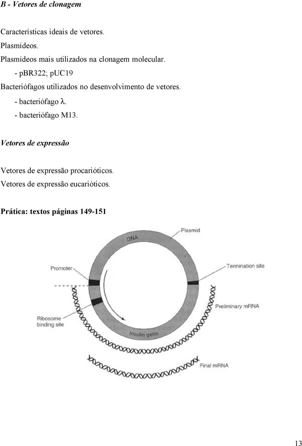 - pbr322; puc19 Bacteriófagos utilizados no desenvolvimento de vetores. - bacteriófago λ.