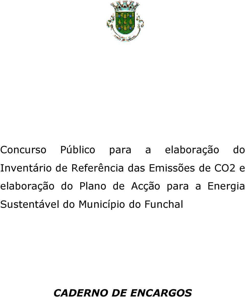 e elaboração do Plano de Acção para a Energia