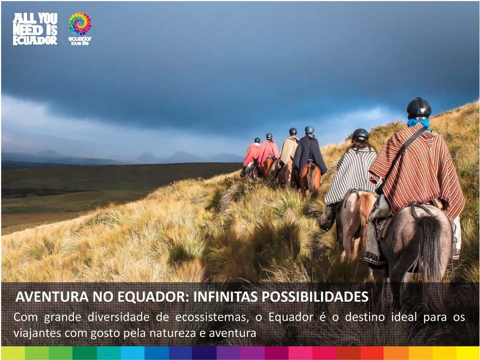 ecossistemas, o Equador é o destino ideal