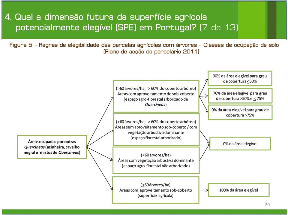 cavalho negral e mistos de Quercíneas) (>60 árvores/ha, > 60% do coberto arbóreo) Áreascom aproveitamento do sob coberto (espaço agro florestal arborizado de Quercíneas) (>60 árvores/ha, > 60% do