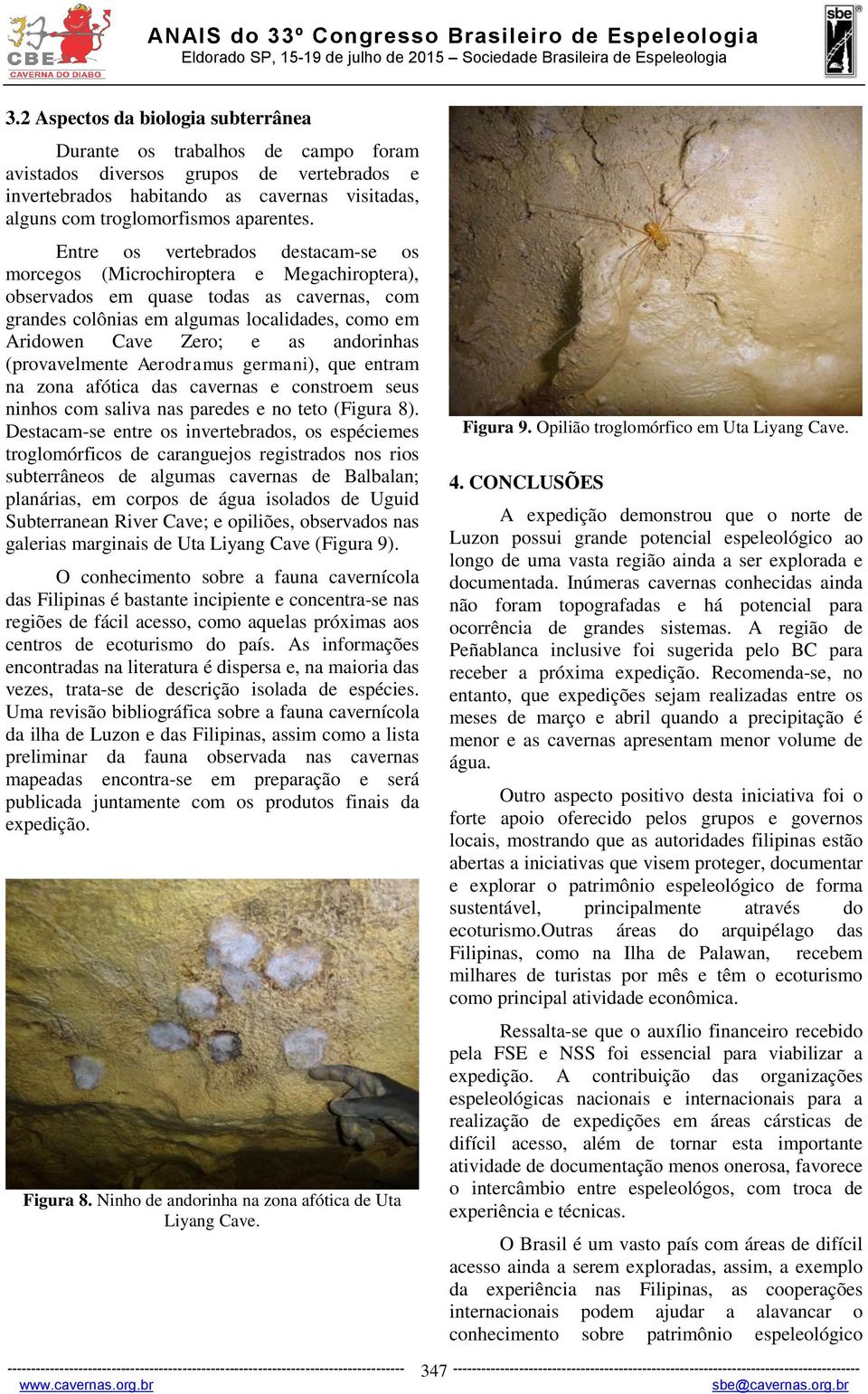 andorinhas (provavelmente Aerodramus germani), que entram na zona afótica das cavernas e constroem seus ninhos com saliva nas paredes e no teto (Figura 8).