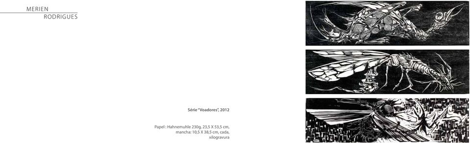 Hahnemuhle 230g, 23,5 X 53,5