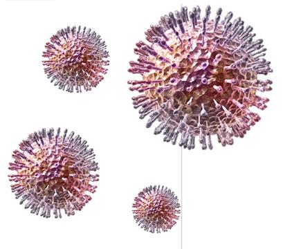 EliGene HSV1 RT Ref.: 90035-RT (para 50 amostras) O Vírus Herpes Simples 1 é um vírus com o DNA em envelope. Até à data, são conhecidos pelo menos oito espécies de herpesvirus que infectam o homem.