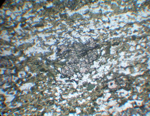 Fotomicrografia 1 Anfibolito fino do Greenstone Belt Rio das Mortes com grãos de hornblenda orientados segundo a foliação.