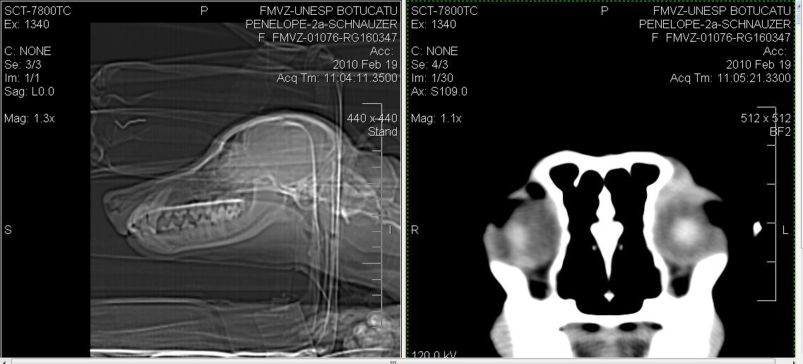 ISSN 1809-4678 Med. Vet. 2011 dez.; 5(4 Supl. 1): 87 Figura 2: Imagem do programa (E-film Workstation) utilizado nas análises tomográficas de crânio.