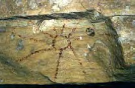 167 Figura 17.5 - Vasilhame cerâmico da Tradição Tupi-guarani, utilizado para sepultamento. cerâmicas são as carenadas, com os ângulos similares às quilhas dos navios.