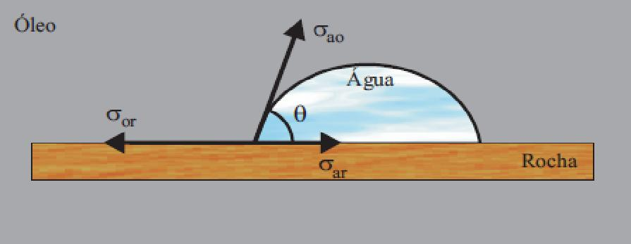 A Figura 2.7 ilustra um esquema destas pressões durante a elevação de água em um tubo capilar. Figura 2.7- Elevação da água num tubo capilar. Fonte: Montalvo (2008).
