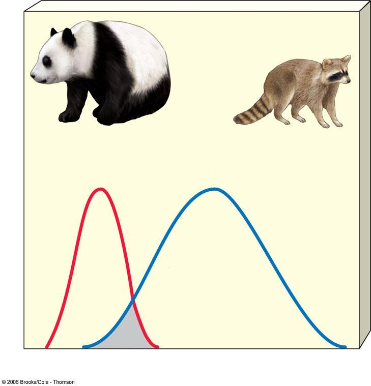Nicho ecológico do urso panda e do guaxinim em uma dimensão: Número de indivíduos Espécie especialista, nicho estreito Separação