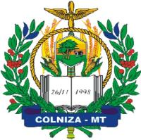 GABINETE DO PREFEITO Lei nº 296/2007 Súmula: Institui, regulamenta e disciplina o transporte de passageiros em táxis no município de Colniza/MT, determinando a localização dos pontos, tudo em