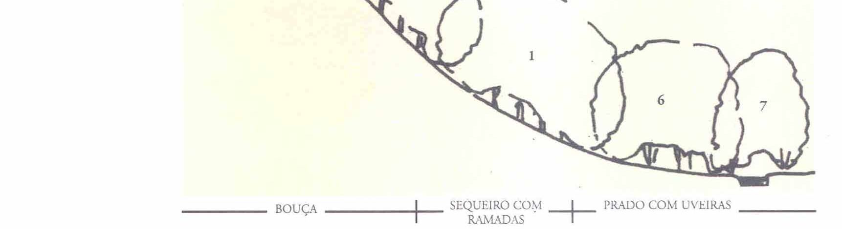 húmida (dominado pela presença do carvalho-roble, sobreiro, azereiro, entre outras), nos vales, próximo às linhas de água ocorria a Mata ribeirinha, com domínio do freixo e do ulmeiro.