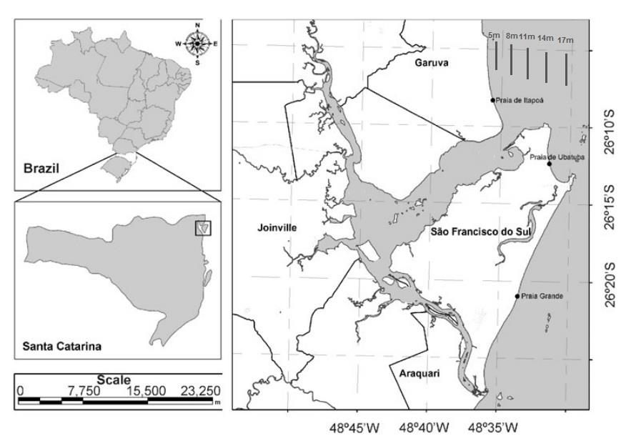 28 Material e Métodos Caracterização da área de estudo A Baía da Babitonga (fig.