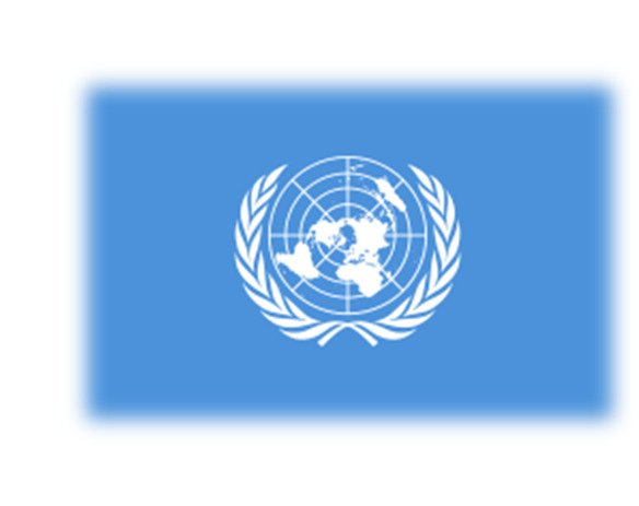 PRINCÍPIOS DAS NAÇÕES UNIDAS PARA AS PESSOAS IDOSAS Independência Participação Cuidados Realização pessoal Dignidade A ONU recomenda aos