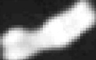29 Figura 35: Segmentação por limiar aplicada na imagem de um cromossomo humano Todos os pixels com nível de cinza inferiores a 161 forma substituídos por níveis de cinza 0 (zero) Nota-se uma