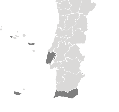 O setor do Turismo mostrou-se mais relevante no Funchal, Faro, Horta, Ponta Delgadae Lisboano que concerne ao número de empresas, volume de negócios e número de pessoas ao serviço no total das