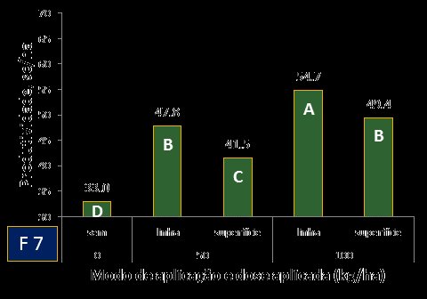 Adubação fosfatada em superfície: como decidir?