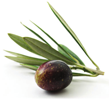 Azeite de olive Extra Virgem - Tipo: Extra Virgem OLIO EXTRAVERGINE DI OLIVA 100% ITALIANO Azeite de categoria superior obtido diretamente de azeitonas, unicamente por processos mecânicos a frio