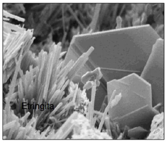83 Figura 50- Microscopia do concreto com compostos formados Fonte: Mehta e Monteiro (1984) Dentre os principais compostos formados estão o Hidróxido de Cálcio (C-H), são cristais de grande tamanho,