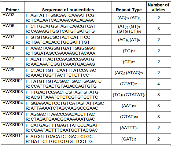 Doze pares de primers de SSR (Simple Sequence Repeat) usados para análises de plantas de