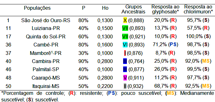 A pressão selecionou 7 grupos de genomas diferentes, 6 deles Resistentes ao Glyphosate, mostrando que a resistência pode surgir entre grupos de genomas