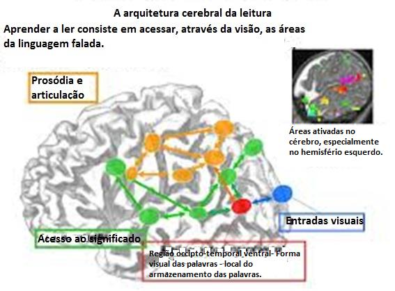 1. Linguagem escrita O cérebro e a escrita Aqui temos uma visão moderna das redes