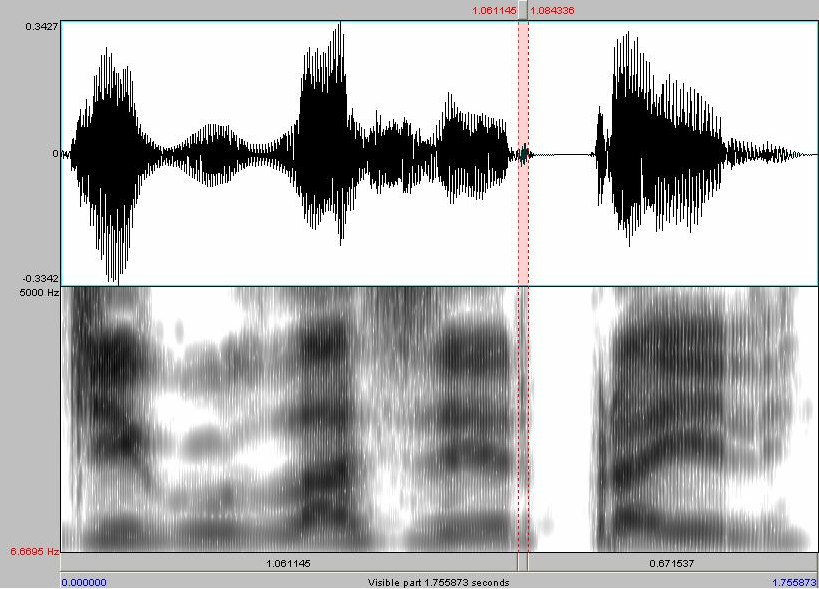 Figura 3: Espectrograma mostrando o elemento vocálico após o tap na palavra lazer, para dados do informante R. O som em questão encontra-se entre as barras verticais.
