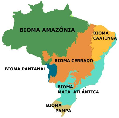 BRAZIL AND BIODIVERSITY 6 Biomes 2/3 of the country is still covered by native vegetation 20% biodiversity in the world > 220 native Indian communities (180 languages) > 20