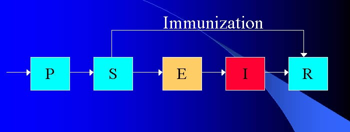 Dinâmica de transmissão de doenças infecciosas Fluxo de indivíduos num modelo compartimental gráfico simples do sarampo (P) bebês com proteção maternal ao sarampo, (S) susceptíveis (E) indivíduos que