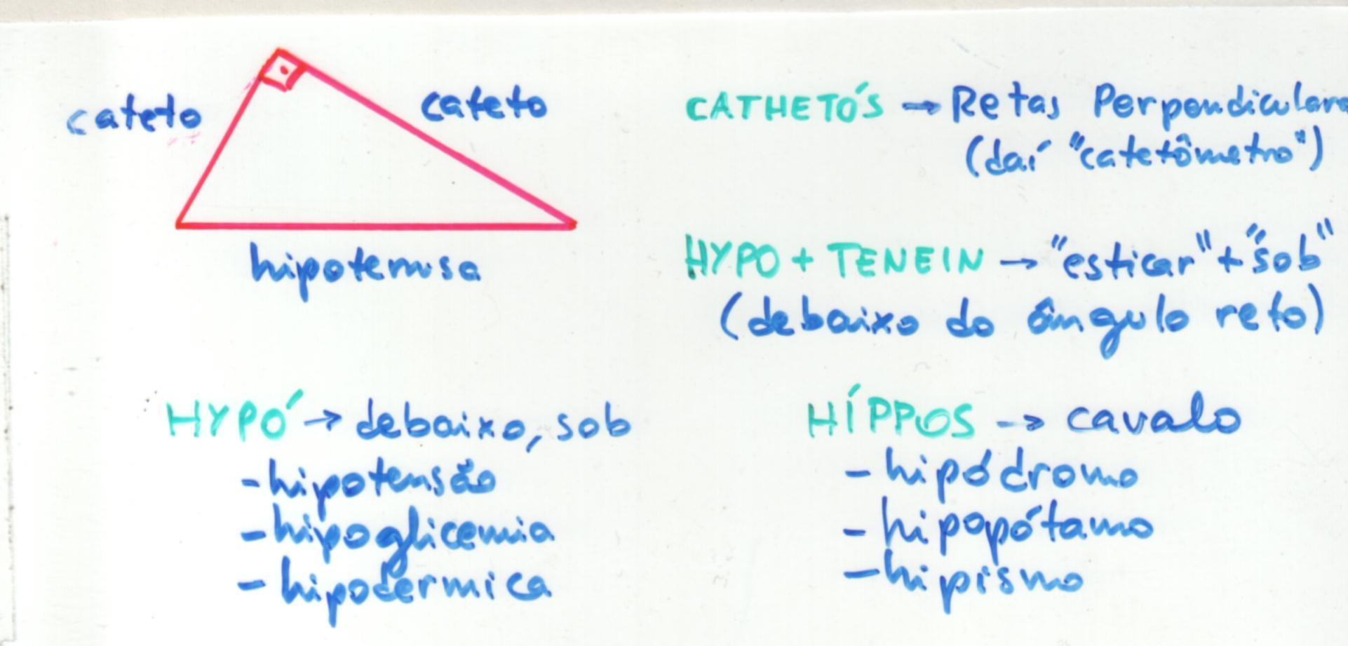 Foram os gregos que