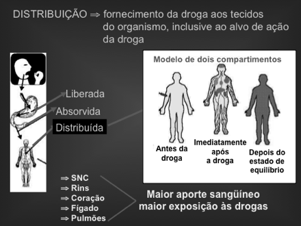 Por que são grupos especiais? Lactantes Desenvolvimento da criança conenua no pós útero Em especial, o Sist.