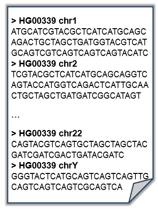 Tamanho Como armazenar um genoma em um arquivo?