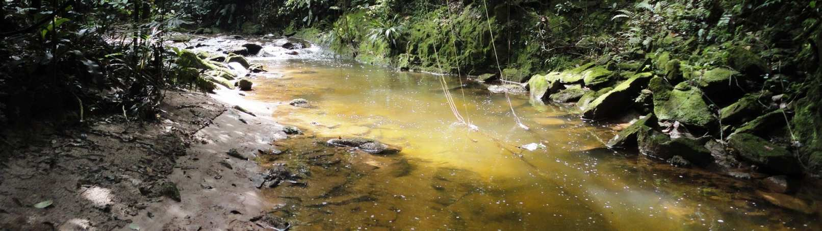 ÁREAS CONTAMINADAS: EFEITOS NEGATIVOS DOS LIXÕES