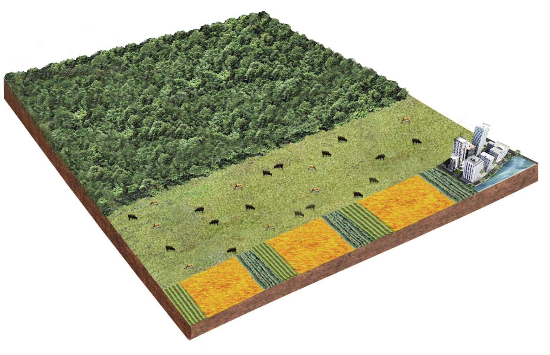 Mudanças no Uso da Terra Vegetação Nativa: 554 mi ha (66% da área total) Em 2022 as áreas agrícolas aumentarão 15 mi ha, atinigindo 84 mi ha 59 mi ha de grãos, 15 mi ha de cana-de-açúcar e 10 mi ha