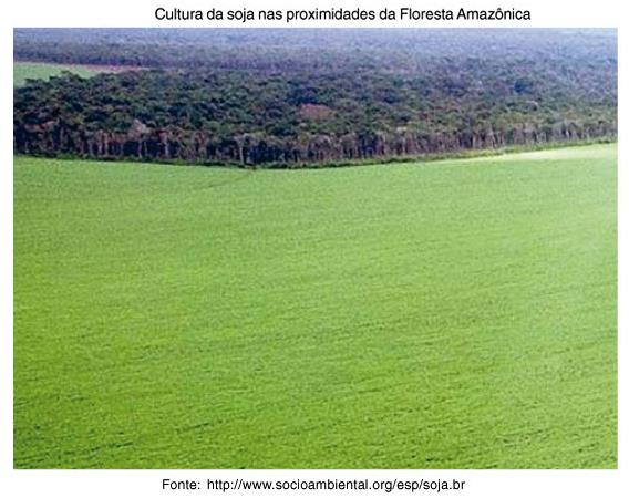 Oeste já estavam ocupadas ou eram muito caras, muitos produtores começaram a expandir sua produção em direção ao Norte do país.